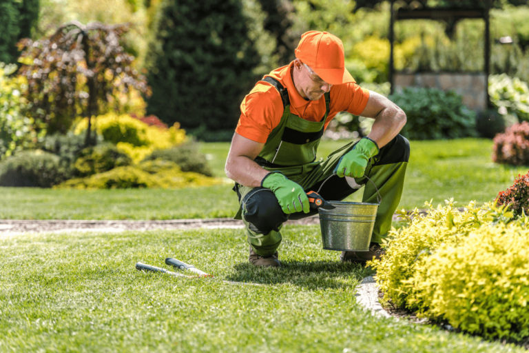 Garden Maintenance – An Overview