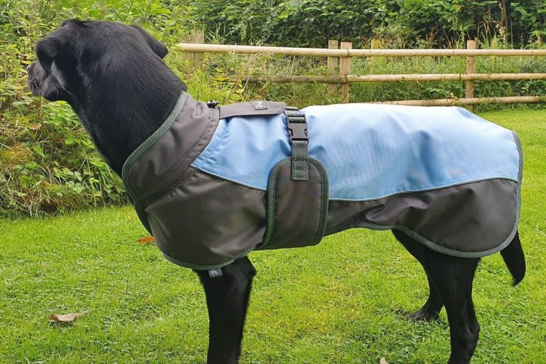 Benefits Of Waterproof Dog Jacket